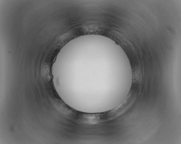 X0000112070187200908181228