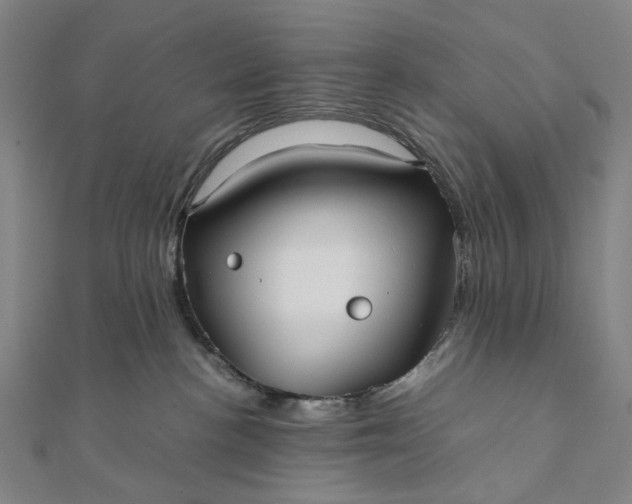 X0000112070188200908181228