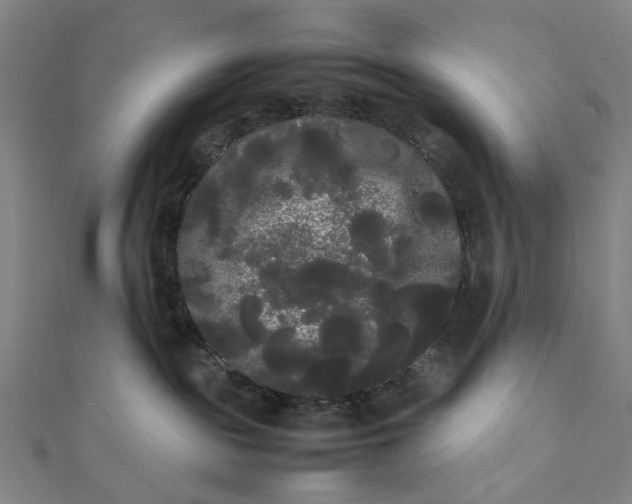 X0000112070189200908181228