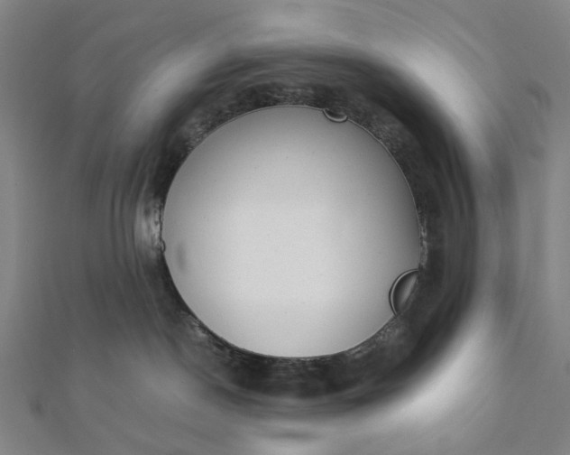 X0000112070190200908181228