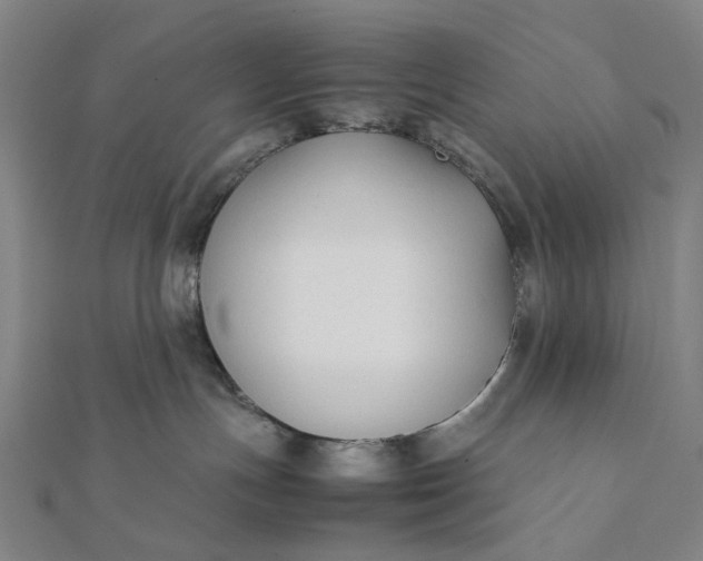 X0000112070191200908181228