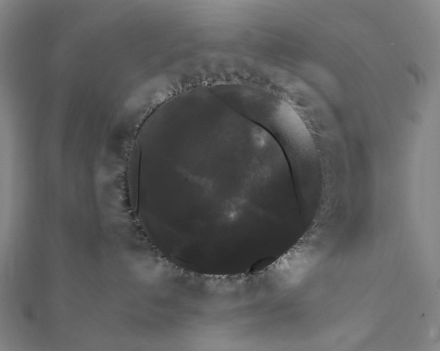 X0000112070192200908181228
