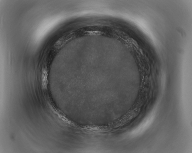 X0000112070194200908181227