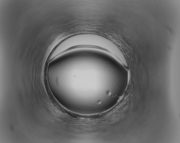 X0000112070195200908181227