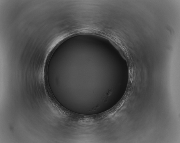 X0000112070196200908181227