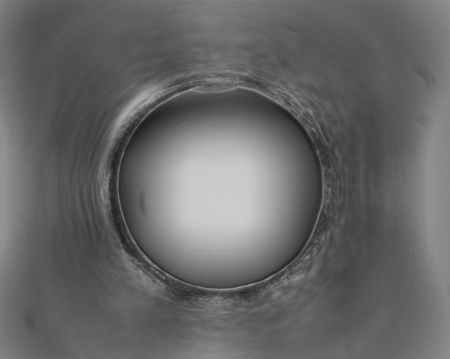 X0000112070197200908181227