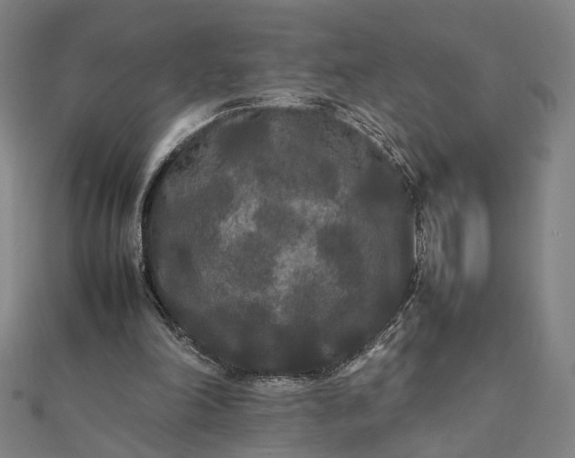 X0000112070198200908181227