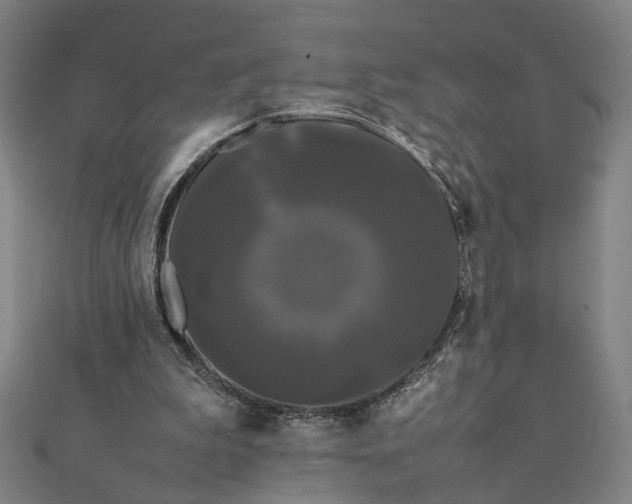 X0000112070199200908181227