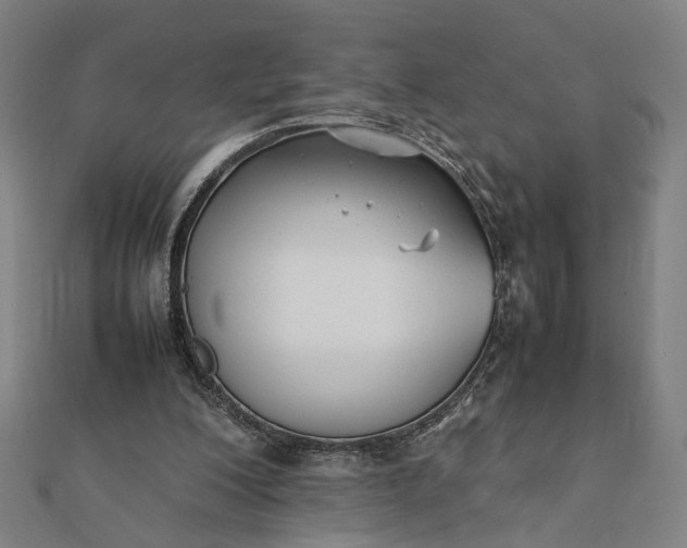 X0000112070200200908181227