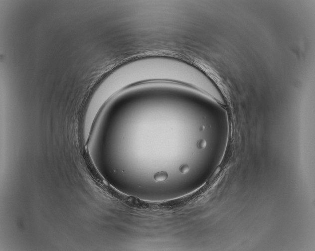 X0000112070201200908181227