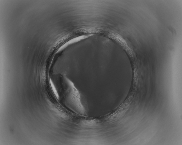 X0000112070202200908181227