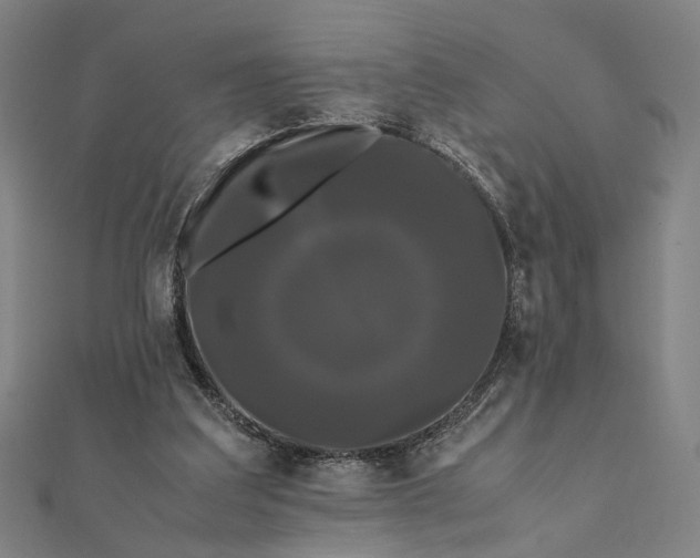 X0000112070203200908181227