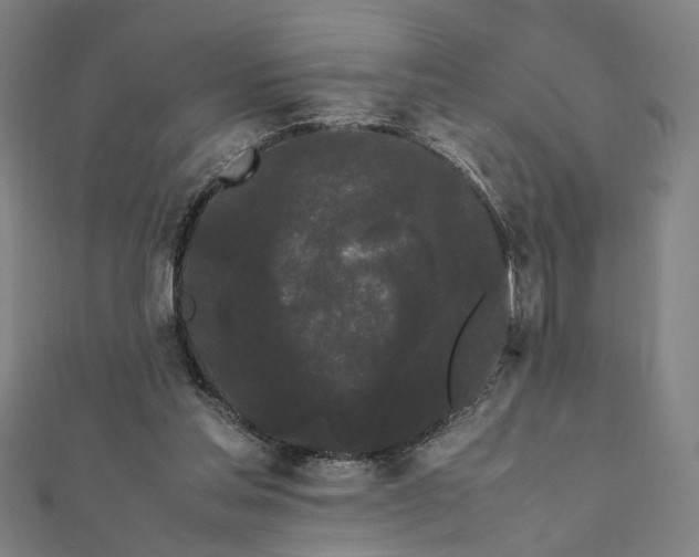 X0000112070205200908181227