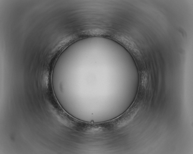X0000112070206200908181227