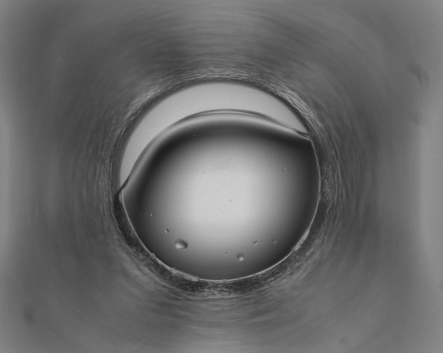 X0000112070207200908181227