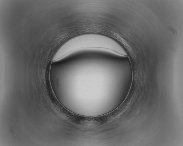 X0000112070209200908181227