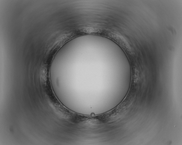 X0000112070210200908181227