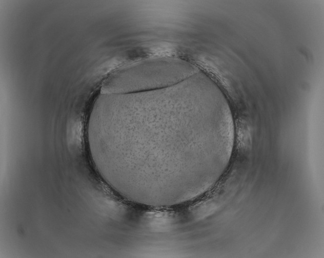 X0000112070211200908181227