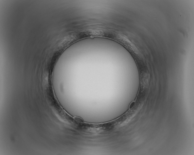 X0000112070213200908181227