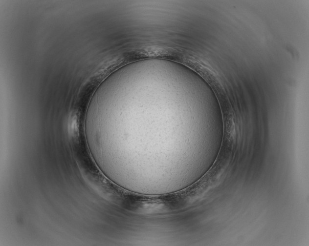 X0000112070214200908181227