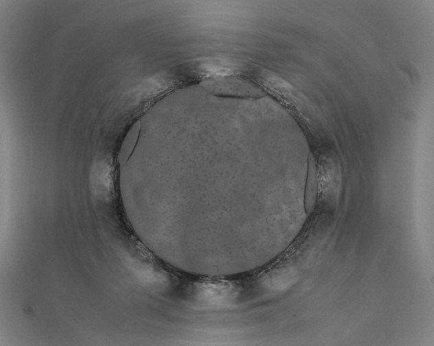X0000112070215200908181227