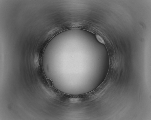 X0000112070216200908181227