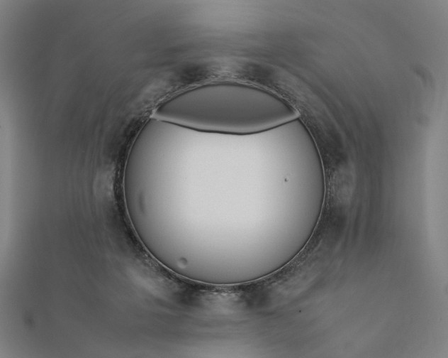 X0000112070217200908181227