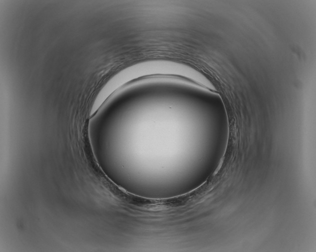 X0000112070219200908181227