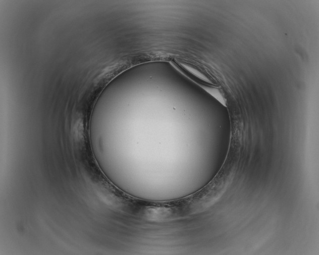 X0000112070220200908181227