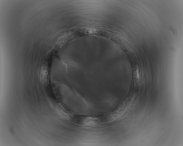 X0000112070222200908181227