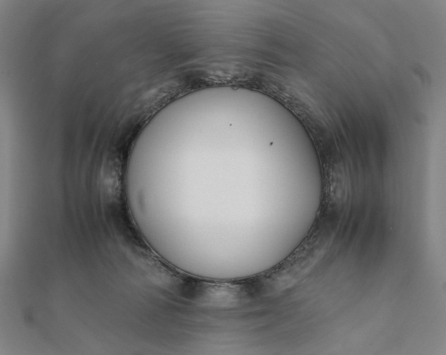 X0000112070226200908181227