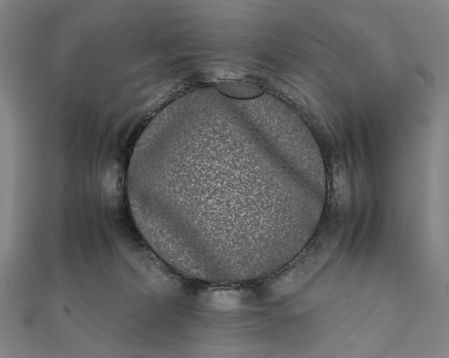 X0000112070228200908181227