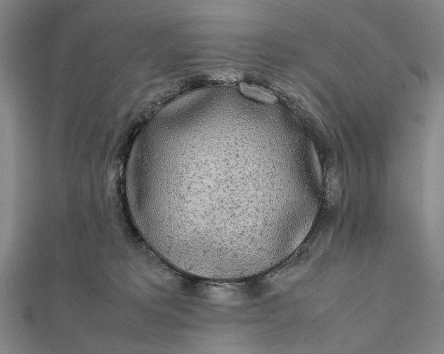 X0000112070229200908181227