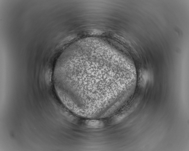 X0000112070230200908181227