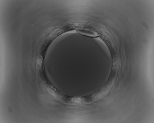 X0000112070231200908181227