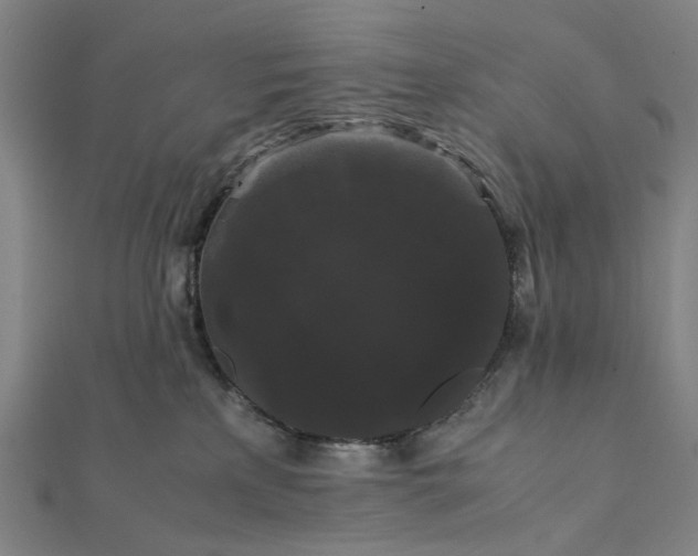 X0000112070233200908181227