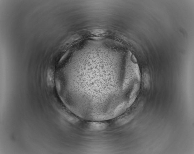 X0000112070234200908181227