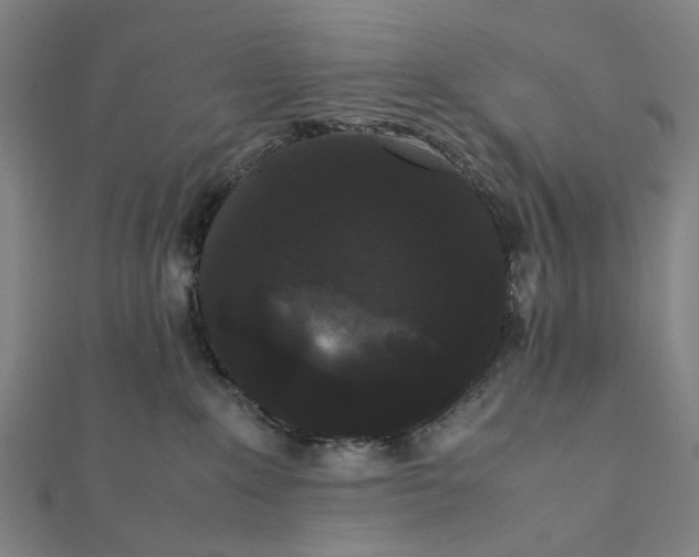 X0000112070235200908181227