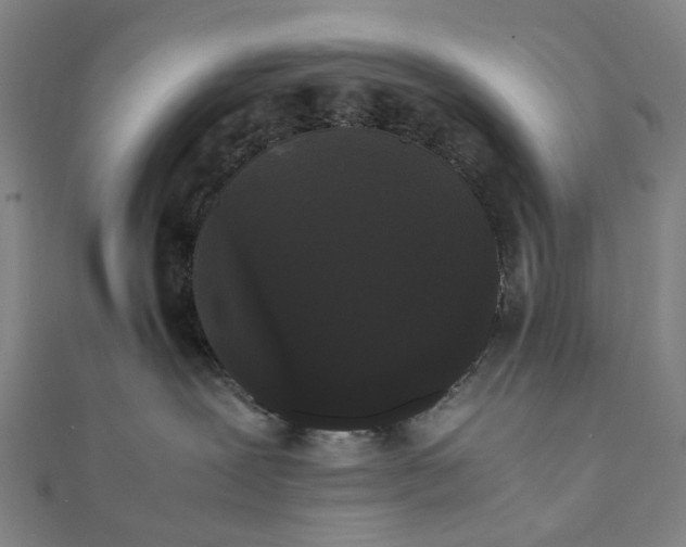 X0000112070239200908181227