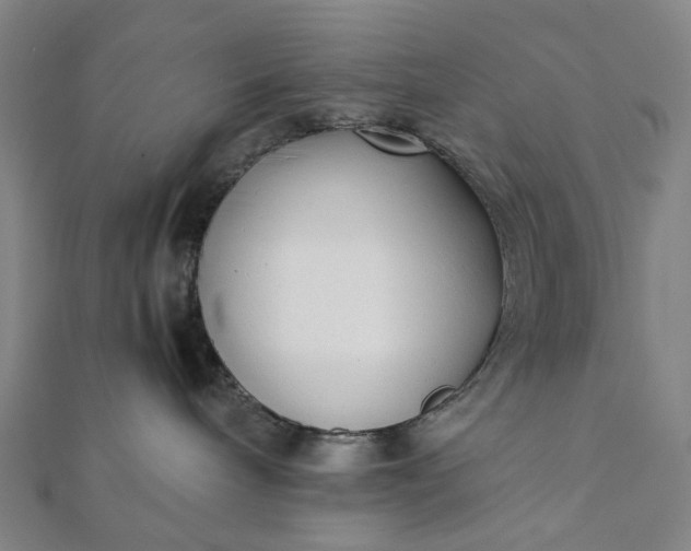 X0000112070240200908181227