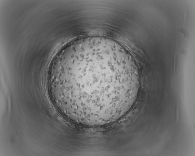 X0000112070241200908181226