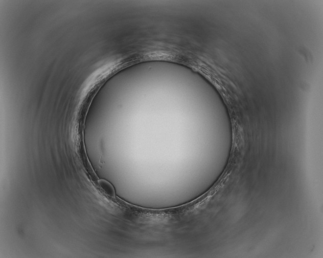 X0000112070245200908181226