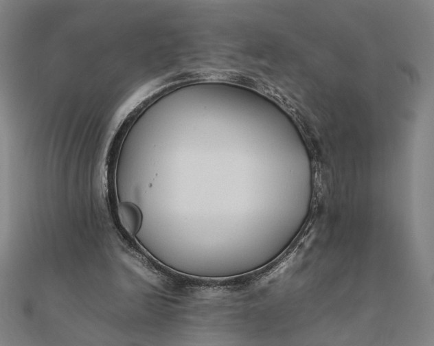 X0000112070246200908181226