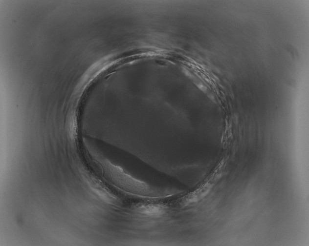 X0000112070247200908181226