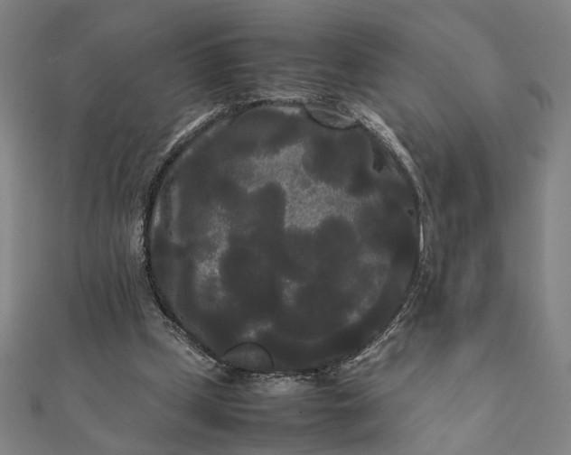 X0000112070249200908181226