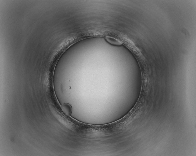 X0000112070250200908181226