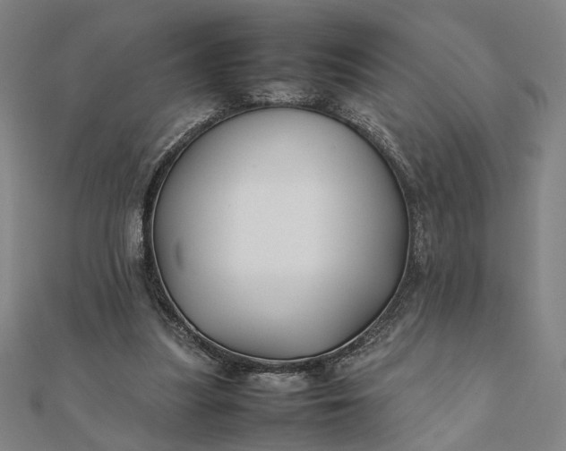 X0000112070251200908181226