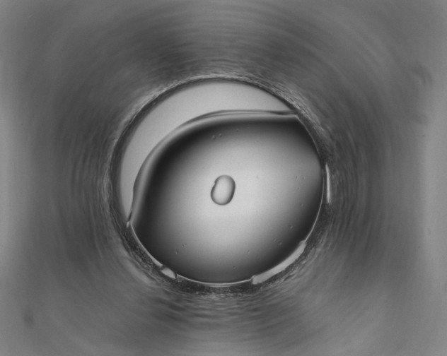 X0000112070252200908181226
