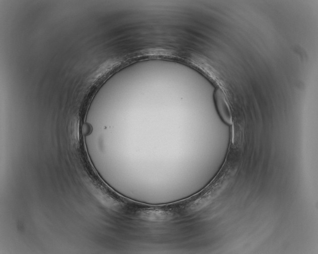 X0000112070253200908181226