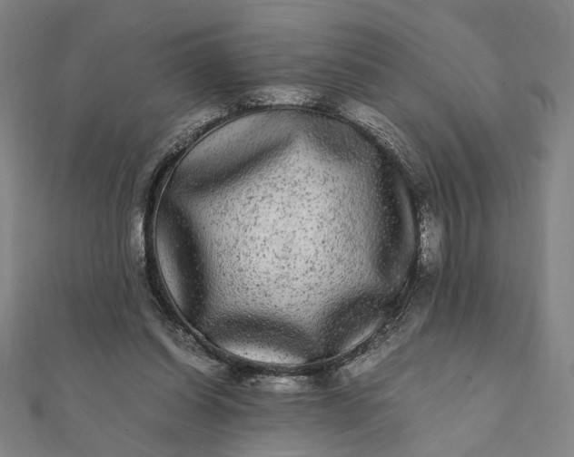 X0000112070254200908181226